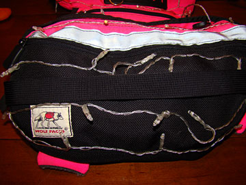 Close up view of Banzai Dog Pack with lights sewn on
